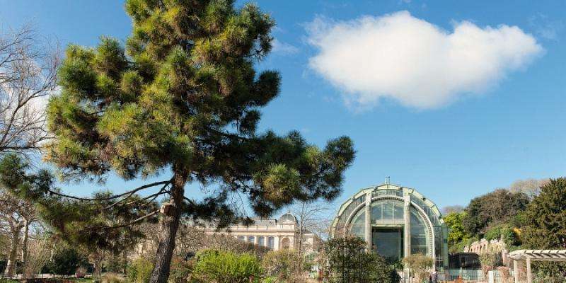 Rendez-vous au Jardin des Plantes
